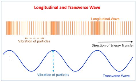longitudinal waves diagram quizlet