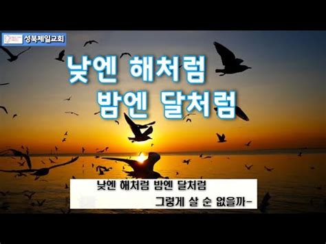 낮엔 해처럼 밤엔 달처럼 마음에 평안을 주는 찬양 기도 묵상 Pray Rest Heling Praise