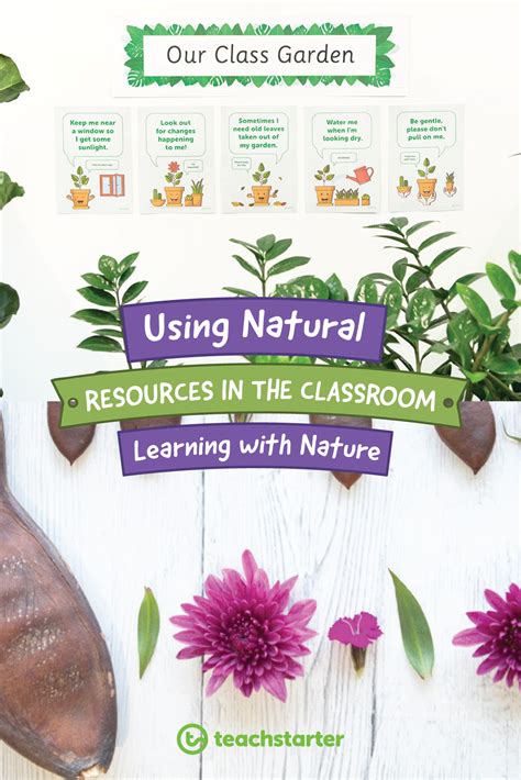 Using Natural Resources In The Classroom Learning With Nature Teach Starter Classroom