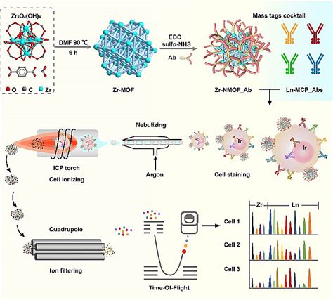 基于纳米金属有机框架的质谱流式技术新型金属标签用于单细胞、多靶标检测 X Mol资讯