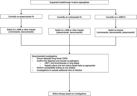 Consensus Guidelines For The Diagnosis And Management Of Invasive