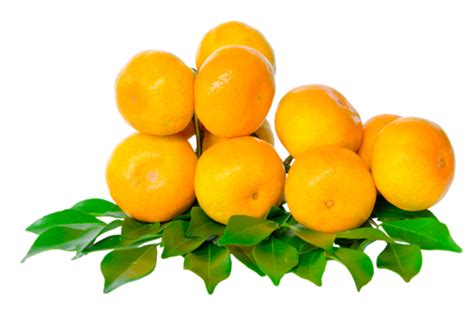 Orange Fruits With Leaves Png Transparent Images Free Download Vector