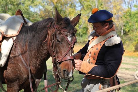 11 War Horse Breeds & Their History (With Info & Pictures) | PangoVet