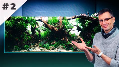 Breathtaking Liters Forest Aquarium Indonesian Style Aquascape