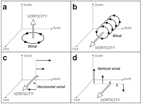 Wind And Vorticity Vectors Encyclopedia Of The Environment