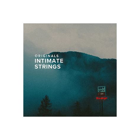 楽天市場SPITFIRE AUDIO ORIGINALS INTIMATE STRINGS スピットファイアオーディオ A9709