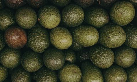 PHILIPPINES: Mindanao eyes more avocado – TFNet – International ...