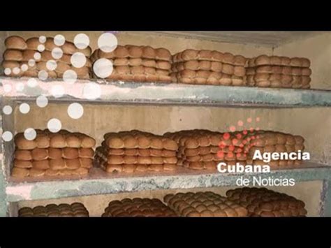 Informan sobre situación de la harina de trigo y el pan en Cuba YouTube