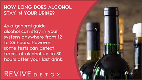 How Long Does Alcohol Stay In Your Urine System The Truth