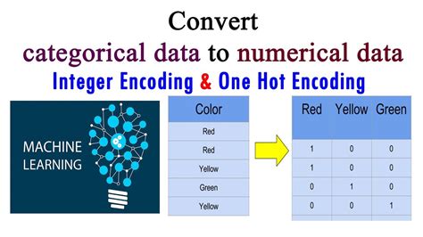 Converting Categorical Data To Numerical Data In R - Printable Online