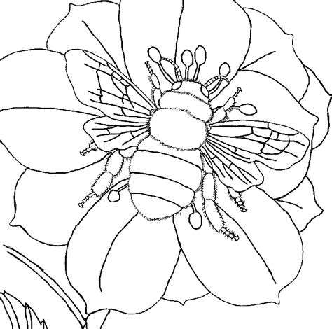 Bee Attitudes Sheet Coloring Pages