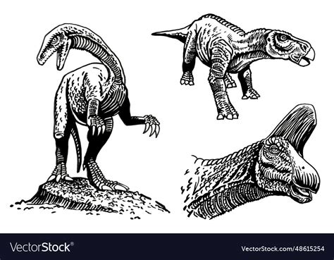 Graphical Set Of Dinosaurs Isolated On White Vector Image