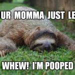 Sloth Monday Meme Generator - Imgflip