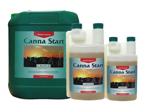 Canna Start Fertilizzante Per Giovani Piante E Talee