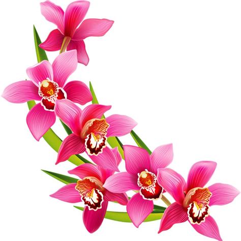 Flower Arrangement Clipart At Getdrawings Free Download