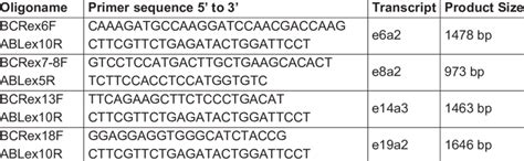 Oligonucleotides For Generation Of Atypical Bcr Abl1 Transcripts Download Scientific Diagram