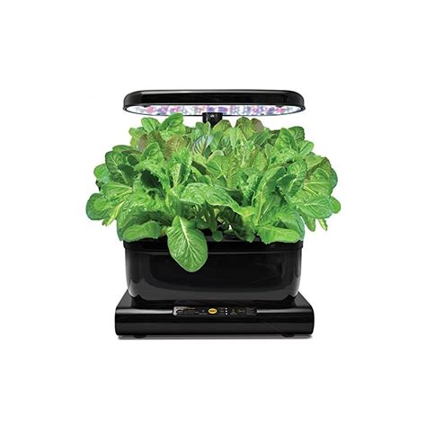 Grow Romaine Lettuce In Containers - Container Garden Club