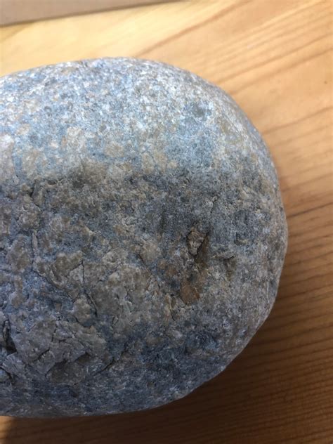 Soft shell Dinosaur Egg? - Fossil ID - The Fossil Forum