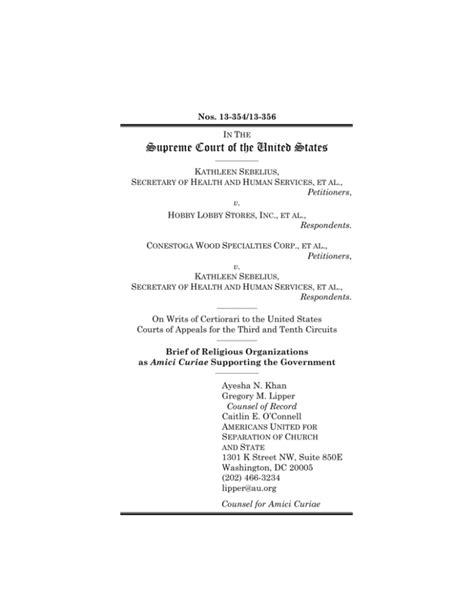 Amicus Brief Anti