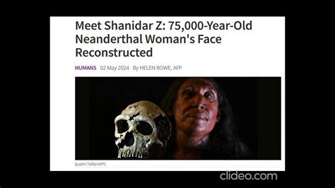 Shanidar Z 75 000 Year Old Neanderthal Womans Skull Neanderthal