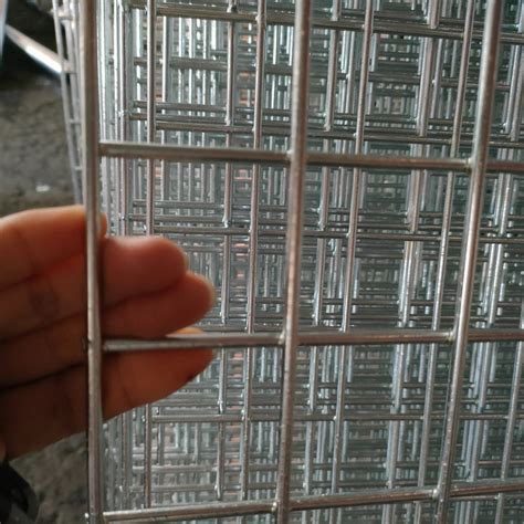 Welded Wire Mesh Hot Dip Galvanized Iron Wire Mesh China Galvanized