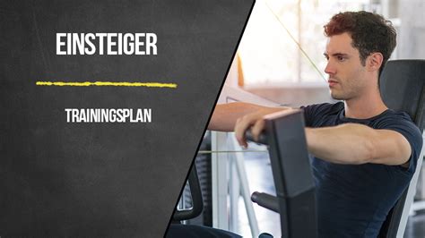 Ganzk Rper Trainingsplan F R Anf Nger Im Fitnessstudio Uebungen Ws