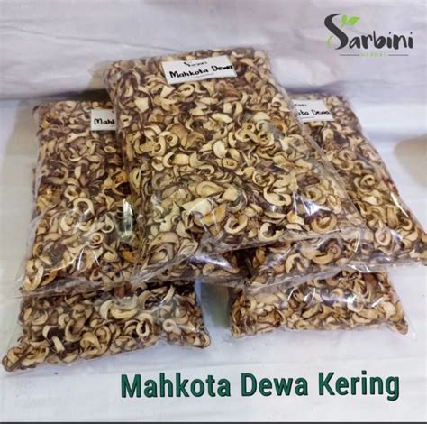 Mahkota Dewa Kering Kg Lazada Indonesia