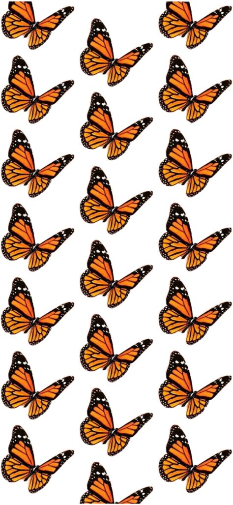 Brown Aesthetic Butterfly Wallpapers Wallpaper Cave