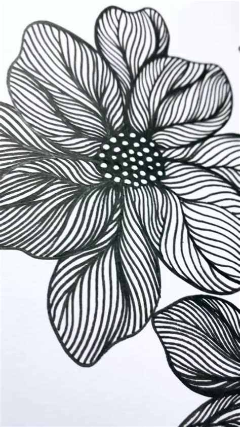 Floral Line Drawing | Pinterest