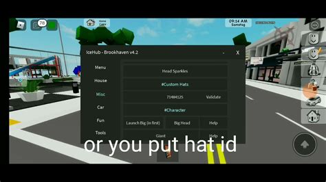 Roblox Brookhaven Icehub Script Youtube