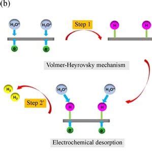 Hydrogen Evolution Reaction Mechanism