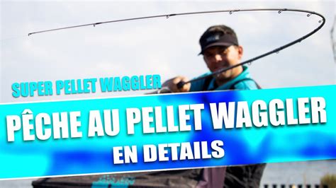 PÊCHE AU PELLET WAGGLER EN DETAILS YouTube