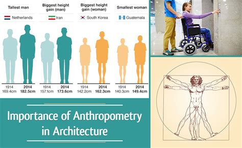 Anthropometric Measurements Body Shape And Dimensions