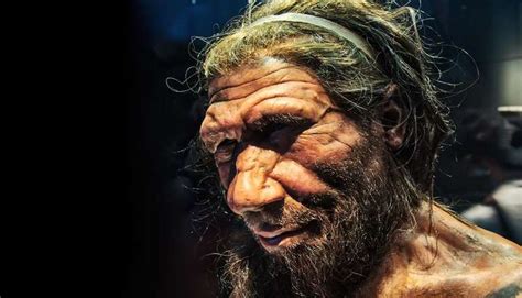 Dna De Humanos Modernos E Neandertais Se Misturou Por Mil Anos Diz