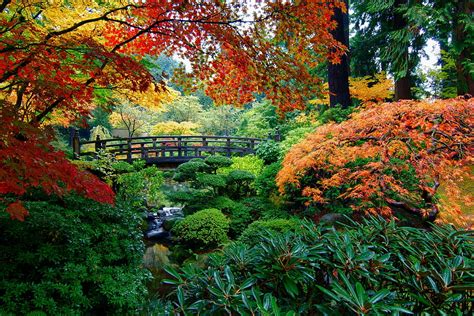 Japanese Garden In Autumn Background Hd Wallpaper Pxfuel