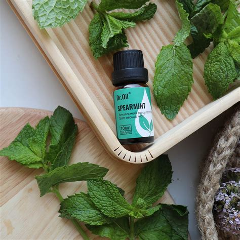 Гаат өвсний амин тос Spearmint Essential Oil 171029 Dr Oil