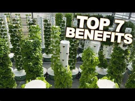 Vertical Farming with Aeroponics: Top 7 Benefits of a Tower Farm : r ...