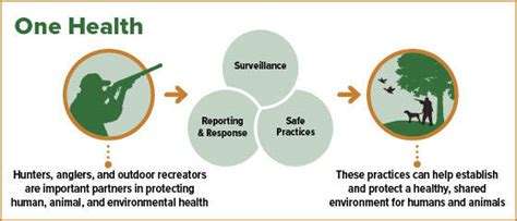 Wildlife Health Indiana Hunting Eregulations