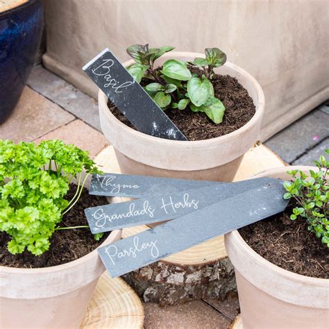 Personalised Slate Garden Plant Labels The Laser Boutique