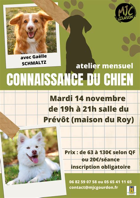 Atelier Mensuel Connaissance Du Chien MJC Gourdon Pour Tous Et