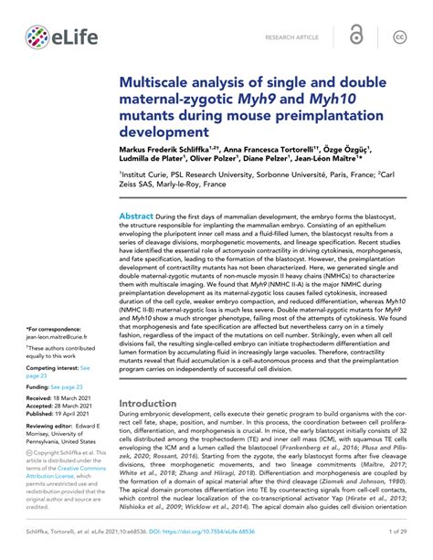 Pdf Multiscale Analysis Of Single And Double Maternal Zygotic Myh