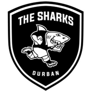 Sharks (rugby union) - Wikiwand