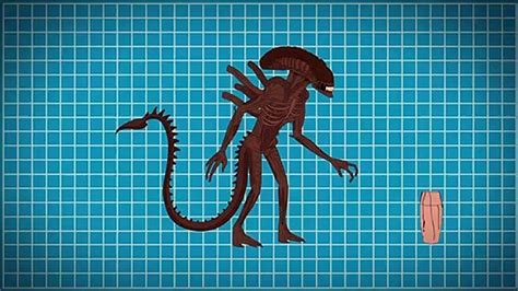 Evolution Of Xenomorph