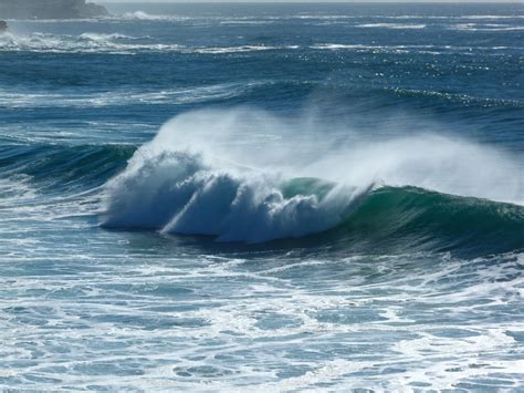 beachcomber: big swell