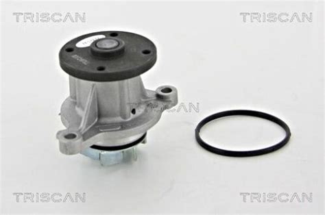 TRISCAN Water Pump For Kia Hyundai Picanto Rio III IV Stonic I10 25100