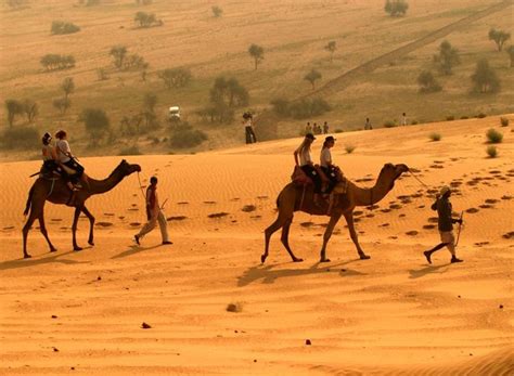 Desert National Park Tour Package Book Now Indian Temple Tour