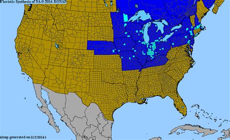 2013 BONAP North American Plant Atlas TaxonMaps