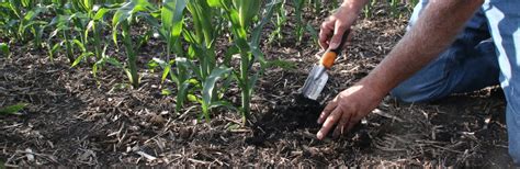 Intro to Soil Conservation Practices On Your Farm | 4R Plus