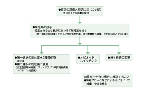 がん診療ガイドライン│がん疼痛薬物療法│アルゴリズム