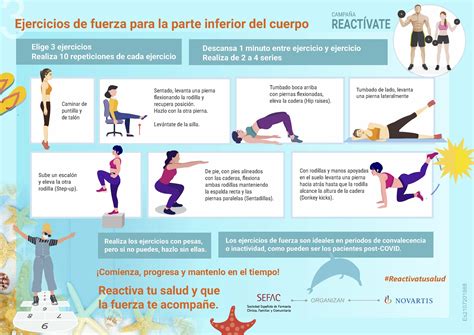 Entrenamiento De Fuerza Para Beneficios Y Mejores Ejercicios Atelier Yuwaciaojp